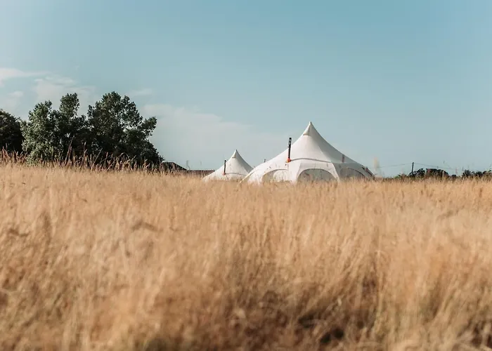 Bamburgh Under Canvas